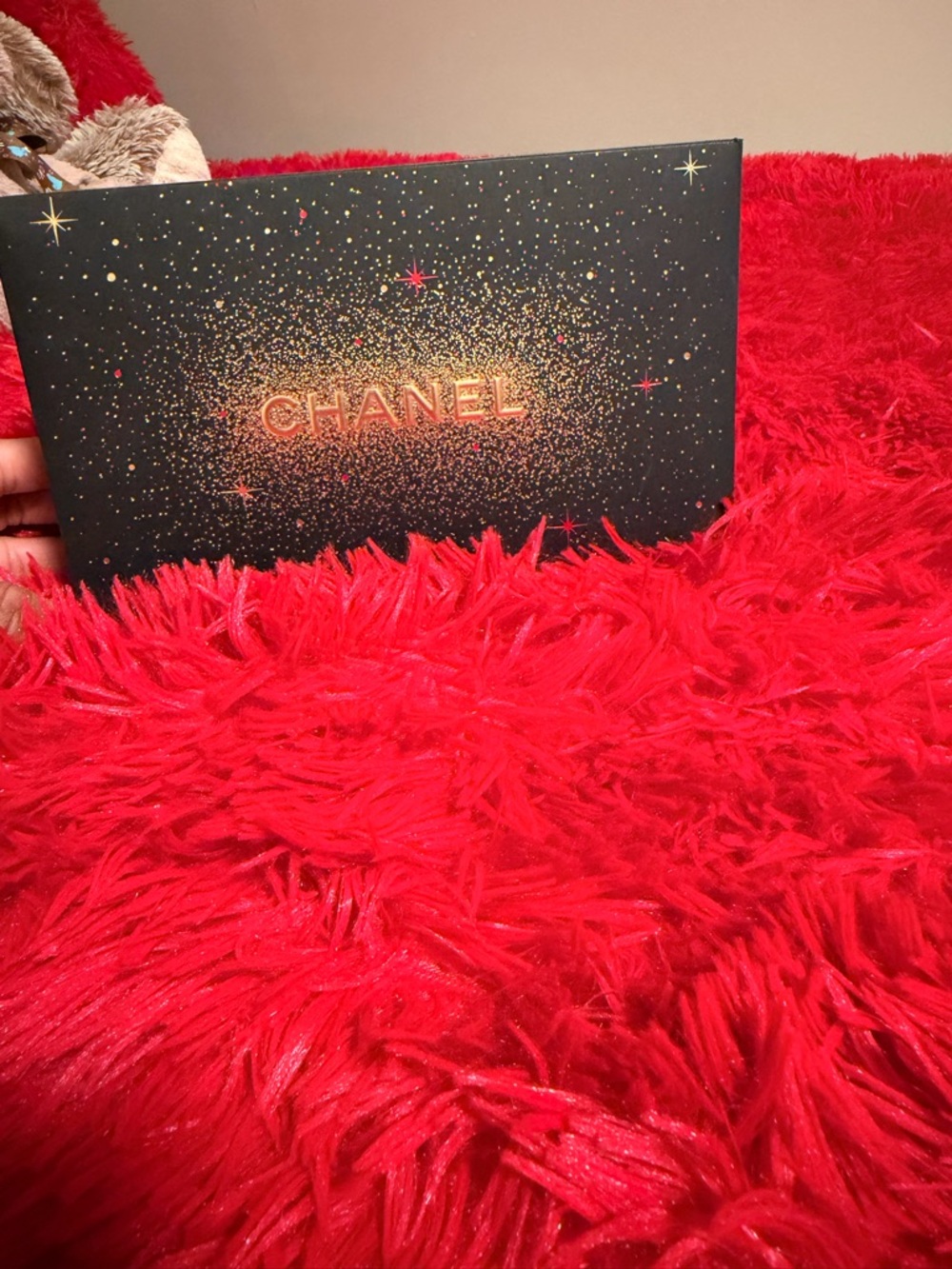 CHANEL Red Tweed Cosmetic Case with Gold Zipper